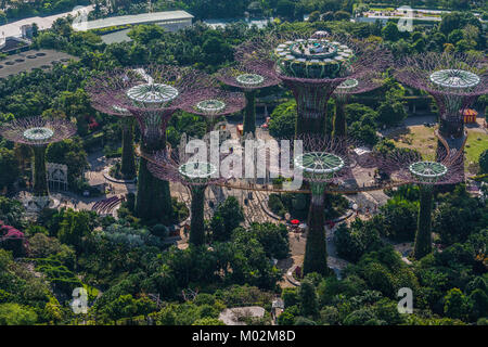 Gardens by the bay, Marina Bay, Singapour Banque D'Images