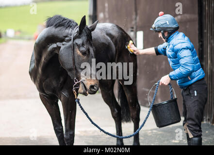 Un jockey de laver un cheval après la formation Banque D'Images