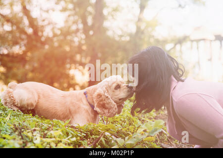 Chien de lécher le visage de fille in park Banque D'Images