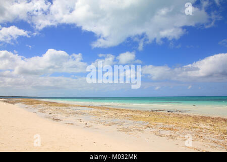 Cuba - Cayo Coco beach, célèbre station balnéaire dans les Caraïbes Banque D'Images