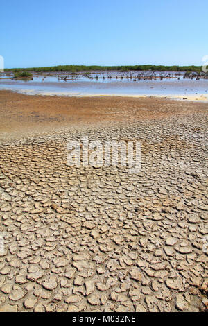 Cuba - la péninsule d'Ancon. La terre sèche et la zone humide de la mangrove. Banque D'Images