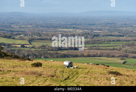 Brighton UK 18 Janvier 2018 - Moutons profiter de beaux temps ensoleillé mais froid le long de la South Downs Way à Ditchling Beacon juste au nord de Brighton Banque D'Images