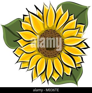 Hand drawn vector jaune tournesol, Illustration de Vecteur