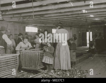 Quatre ans, Marie, qui deux pots d'huîtres cosses une journée à Dunbar. Banque D'Images