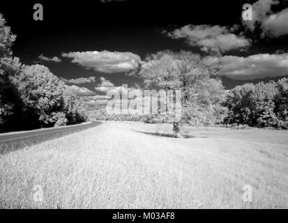 Photographie infrarouge de la Natchez Trace Parkway, le Mississippi Banque D'Images