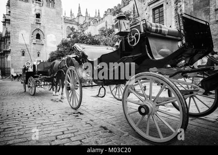 Transport de chevaux près de la Giralda à Séville, Andalousie, Espagne cathédrale Banque D'Images