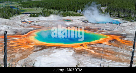 Vue panoramique de Grand Prismatic Spring in Yellowstone Banque D'Images