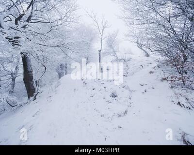 Chemin enneigé diminue à travers une forêt. Sombre hiver forêt brumeuse et sur le coteau, terrible il neige Banque D'Images