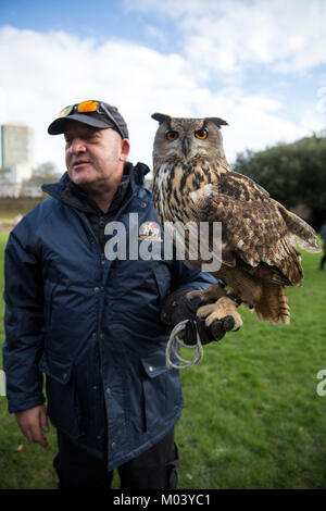 Cardiff, Wales, UK. 18 janvier 2018. La fauconnerie de Durham Glen pose services avec owl Hector tout en l'attente des fans pour le prince Harry et Mme Meghan Markle pour arriver à Cardiff Castle ©Sian Reekie Banque D'Images