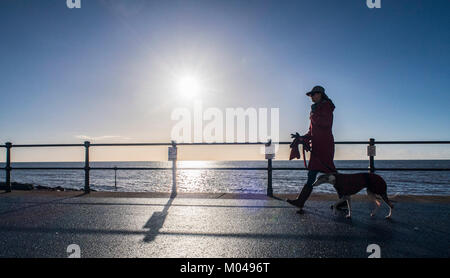 Sidmouth, Devon. 19th janvier 2018. Météo Royaume-Uni. Neige dans le nord du Royaume-Uni, mais beaucoup de soleil pour marcher le chien le long de l'Esplanade à Sidmouth, à Devon. Banque D'Images