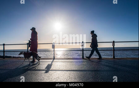 Sidmouth, Devon. 19th janvier 2018. Météo Royaume-Uni. Neige dans le nord du Royaume-Uni, mais beaucoup de soleil pour marcher le chien le long de l'Esplanade à Sidmouth, à Devon. Banque D'Images