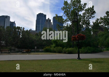 10 juillet 2017; Prince's Island Park, Calgary (Alberta). Vue sur le centre-ville d'eau Claire. Banque D'Images