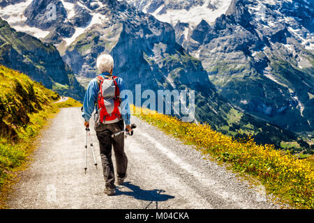 Man de la randonnée dans les Alpes Suisses sur un sentier face à une vue spectaculaire d'irrégularités sur les montagnes enneigées. Été jaune fleurs sauvages bordent la piste. Banque D'Images