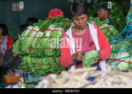 Traders trier & re-pack légumes amenés de zones de montagne,Mantalongon,Marché,Badian de Cebu. Banque D'Images