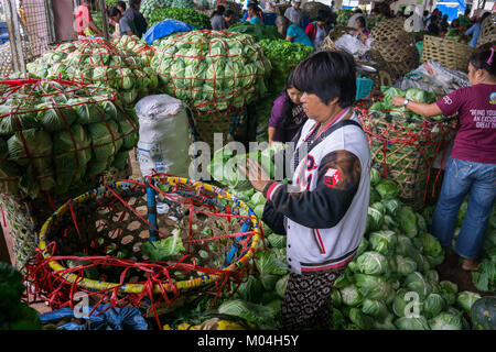 Traders trier & re-pack légumes amenés de zones de montagne,Mantalongon,Marché,Badian de Cebu. Banque D'Images