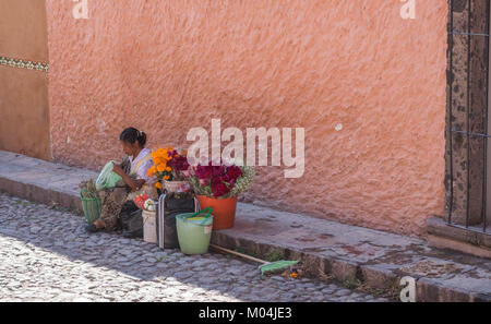 Marchande de fleurs avec des seaux de fleurs aux couleurs vives, assise sur un trottoir en pierre, avec une rue pavée et un mur de stuc rose en arrière-plan, le Mexique Banque D'Images