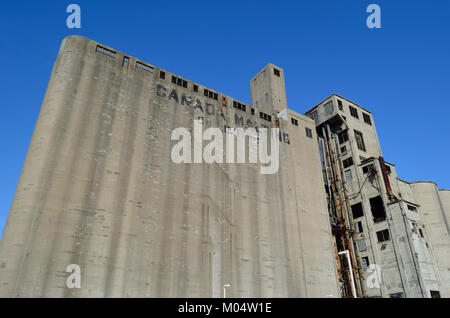 Les silos Canada Malting, situés à Montréal, au Québec, sont un exemple emblématique de l’architecture industrielle. Autrefois une importante installation de stockage du grain, ils faisaient partie de l'industrie minutieuse robuste du Canada et font depuis partie du paysage historique de la ville. Banque D'Images