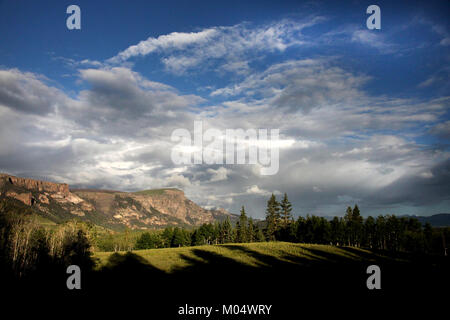 Cette image capture un camping situé près de Bristol Head, Colorado, à une altitude de 9600 pieds. C'est un endroit populaire pour les campeurs et les amateurs de plein air, offrant une vue imprenable sur la montagne et un environnement isolé. Banque D'Images