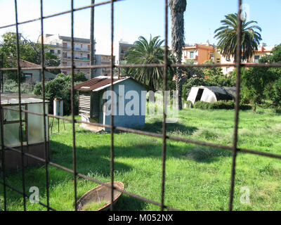 Campo Sperimentale della Stazione Sperimentale Industrie Essenze e derivati Agrumi (AESS) - Reggio Calabria, Italie - 7 octobre 2009 Banque D'Images