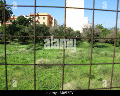 Campo Sperimentale della Stazione Sperimentale Industrie Essenze e derivati Agrumi (AESS) - Reggio Calabria, Italie - 7 octobre 2009 - (4) Banque D'Images