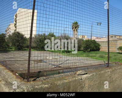 Campo Sperimentale della Stazione Sperimentale Industrie Essenze e derivati Agrumi (AESS) - Reggio Calabria, Italie - 7 octobre 2009 - (6) Banque D'Images