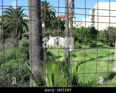 Campo Sperimentale della Stazione Sperimentale Industrie Essenze e derivati Agrumi (AESS) - Reggio Calabria, Italie - 7 octobre 2009 - (7) Banque D'Images