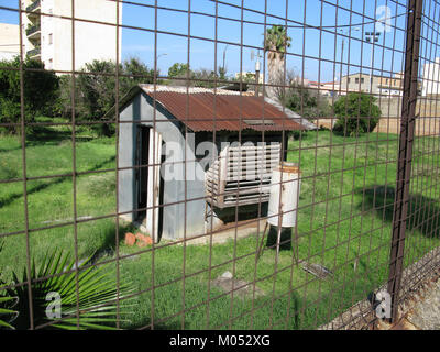 Campo Sperimentale della Stazione Sperimentale Industrie Essenze e derivati Agrumi (AESS) - Reggio Calabria, Italie - 7 octobre 2009 - (8) Banque D'Images