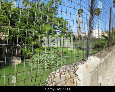 Campo Sperimentale della Stazione Sperimentale Industrie Essenze e derivati Agrumi (AESS) - Reggio Calabria, Italie - 7 octobre 2009 - (12) Banque D'Images