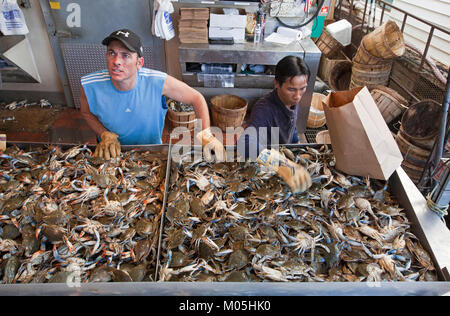 La vente de crabes à carapace molle Banque D'Images