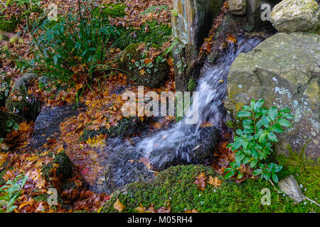 Jardin traditionnel japonais avec petit ruisseau à l'automne. Banque D'Images