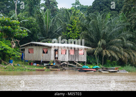 Hut le long de la rivière Kinabatangan Sukau Kinabatangan,, Bornéo, Sabah, Malaisie Banque D'Images