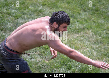 Peuple turc non identifiés d'huile huile.effectuer wrestling lutte ou de graisse (lutte Yagli Gures) est le sport national turc.Istanbul,Turquie,Mai 13 201 Banque D'Images