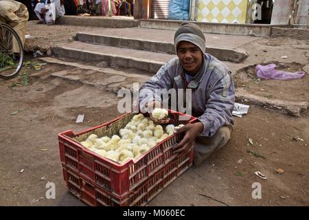 Vendeur de poulet dans la rue à Louxor, Egypte Banque D'Images