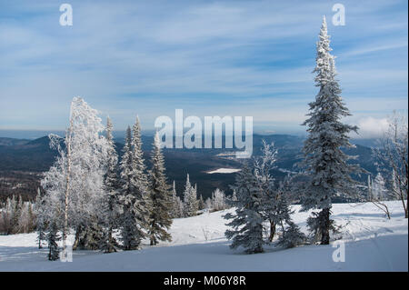 Paysage d'hiver mystérieux des montagnes majestueuses avec arbre couvert de neige. Banque D'Images