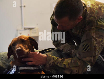 Détachement de soldats avec 1, la Compagnie Charlie, 2-211e l'appui général du bataillon de l'aviation, l'évacuation médicale (MEDEVAC), Groupe de travail Marauder mené K-9 avec une formation en médecine vétérinaire de l'armée américaine le 8 janvier 2018, en Afghanistan. Les soldats de l'EVASAN appris à diagnostiquer et traiter les symptômes de l'armée K-9s dans l'événement qu'ils transportent ou fournir des soins médicaux à un K-9 ou gestionnaire. Marauder Task Force se compose de soldats de la Garde nationale de Caroline du Sud, l'Illinois, l'Iowa de la Garde nationale La Garde nationale, ainsi que le service actif des composantes ainsi que des capacités en aviation avec AH64 Apaches, Banque D'Images