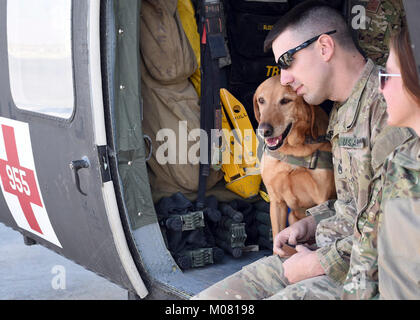 Détachement de soldats avec 1, la Compagnie Charlie, 2-211e l'appui général du bataillon de l'aviation, l'évacuation médicale (MEDEVAC), Groupe de travail Marauder mené K-9 avec une formation en médecine vétérinaire de l'armée américaine le 8 janvier 2018, en Afghanistan. Les soldats de l'EVASAN appris à diagnostiquer et traiter les symptômes de l'armée K-9s dans l'événement qu'ils transportent ou fournir des soins médicaux à un K-9 ou gestionnaire. Marauder Task Force se compose de soldats de la Garde nationale de Caroline du Sud, l'Illinois, l'Iowa de la Garde nationale La Garde nationale, ainsi que le service actif des composantes ainsi que des capacités en aviation avec AH64 Apaches, Banque D'Images