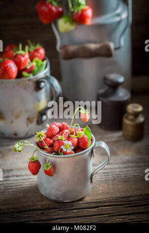 Les Fraises sauvages fraîchement récolté dans la vieille boîte en bois Banque D'Images