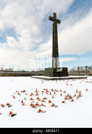 Une forêt de petites croix de bois plantées dans la neige avant de la Croix du souvenir de l'IDD dans Palace Green, de la ville de Durham, England, UK Banque D'Images