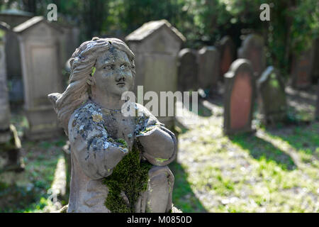 Cimetière juif abandonné près de Floersheim-Dalsheim Rhine-Hesse Allemagne Banque D'Images