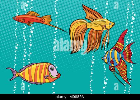 Collection de poissons d'aquarium d'ensemble Illustration de Vecteur