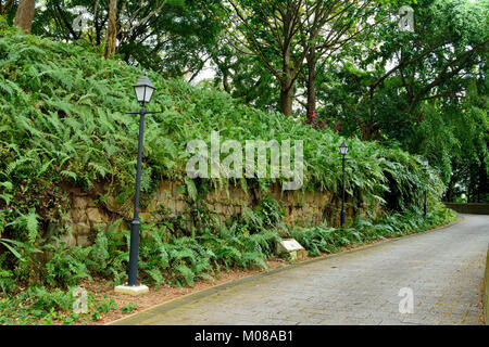 Vestiges du fort de murs à Fort Canning à Singapour. Banque D'Images