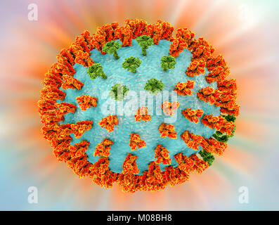 Le virus de la grippe H3N2. 3D illustration montrant les pics de la glycoprotéine de surface (hémagglutinine et neuraminidase) orange (vert) sur une pandémie d'influenza (grippe) particule virale. Hémagglutinine joue un rôle dans l'attachement du virus aux cellules de l'appareil respiratoire humain. Neuraminidase joue un rôle dans la libération des particules virales nouvellement formé à partir d'une cellule infectée. H3N2 virus sont capables d'infecter les oiseaux et les mammifères ainsi que les humains. Ils causent souvent les infections plus graves chez les jeunes et les personnes âgées que les autres souches de la grippe et peut conduire à l'augmentation des hospitalisations et des décès. Banque D'Images