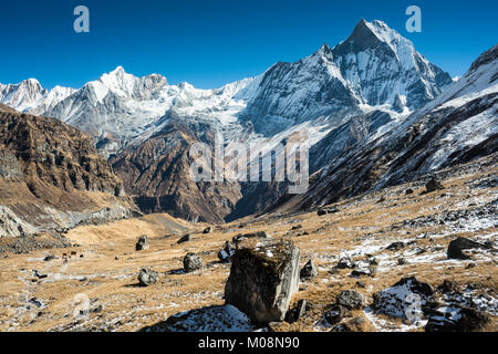 Camp de base de l'Annapurna, Népal, Asie. Banque D'Images