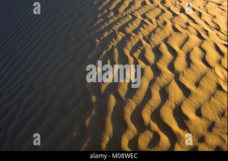 Ondulations dans le sable dans le désert aux Emirats Arabes Unis. Banque D'Images