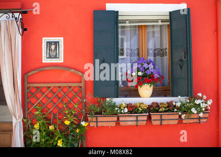 Plante en pot de fleurs rouge et violet sur une fenêtre d'une maison d'orange en Burano, Venise, Italie. Banque D'Images