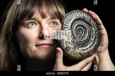 Sarah King, conservateur des sciences naturelles au Yorkshire Museum, inYork est titulaire d'un 200 millions ans ammonite fossile comme elle permet de sélectionner des éléments de l'avant du Yorkshire Museum's nouvelle exposition du Jurassique. Banque D'Images