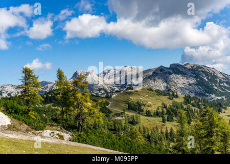 Wörschachwald le haut plateau, en Styrie, près de Bad Mitterndorf, Salzkammergut, Autriche, partie des morts des montagnes, randonnée sur la montagne Lawinenstein r Banque D'Images