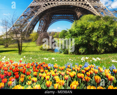 Paris, la tour Eiffel par un beau jour de printemps, avec des tulipes et jacinthes fleurs devant Banque D'Images