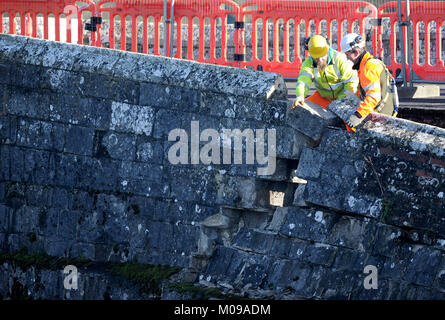 Début des travaux de réparation du pont de la laine historique, Dorset, UK, le travail commence sur la protection de la passerelle d'autres dommages. Pont de la laine, un 16e siècle classé Grade II, structure, traverse la rivière Frome en laine, et des fonctionnalités de Purbeck Tess du D'Urbervilles de Thomas Hardy Crédit : Finnbarr Webster/Alamy Live News Banque D'Images