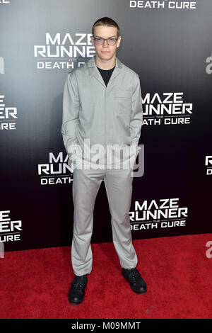 Century City, Californie. 18 janvier, 2018. S'Poulter assiste à la projection de ventilateur de la 20th Century Fox's 'Maze Runner : la peine de guérir à AMC Century City 15 theatre le 18 janvier 2018 à Century City, Californie. | Verwendung weltweit/alliance photo Credit : dpa/Alamy Live News Banque D'Images